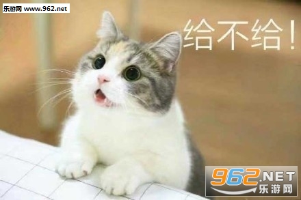 Ҫ������Сè�ɰ�����ͼƬ��ͼ2