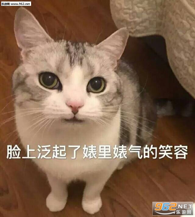 ���ֵ���һ���Ǳ������ͼ9