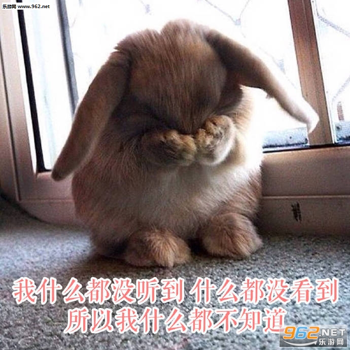 �񶼲�����������ͼ7