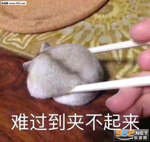 �񶼲�����������ͼ9