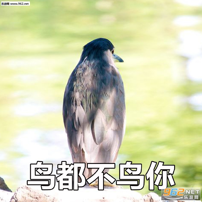 �񶼲�����������ͼ11