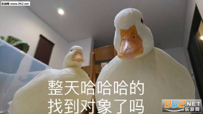 �񶼲�����������ͼ5