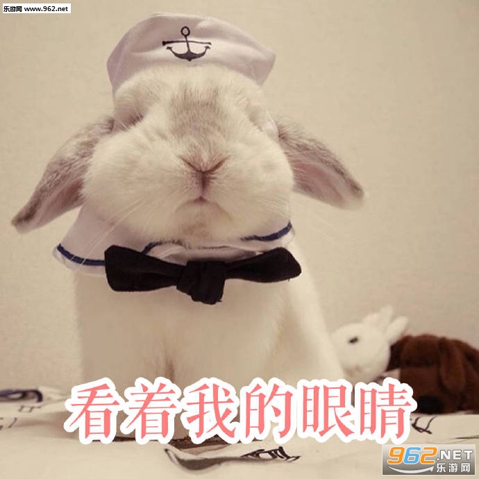 �񶼲�����������ͼ6