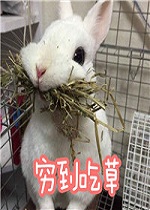 ����С���Ӵ��ֱ����