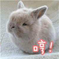����С���Ӵ��ֱ������ͼ0