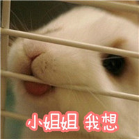 ����С���Ӵ��ֱ������ͼ3