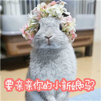 ����С���Ӵ��ֱ������ͼ1