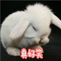 ����С���Ӵ��ֱ������ͼ2
