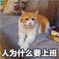 ��˵ʲô���۾�С������������ͼ0