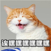 ��˵ʲô���۾�С������������ͼ1