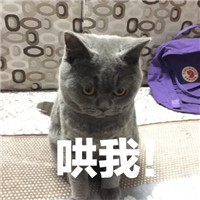 ��˵ʲô���۾�С������������ͼ3