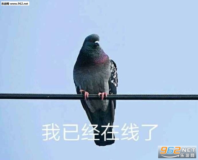 ȷ�Ϲ�����������ͼ1