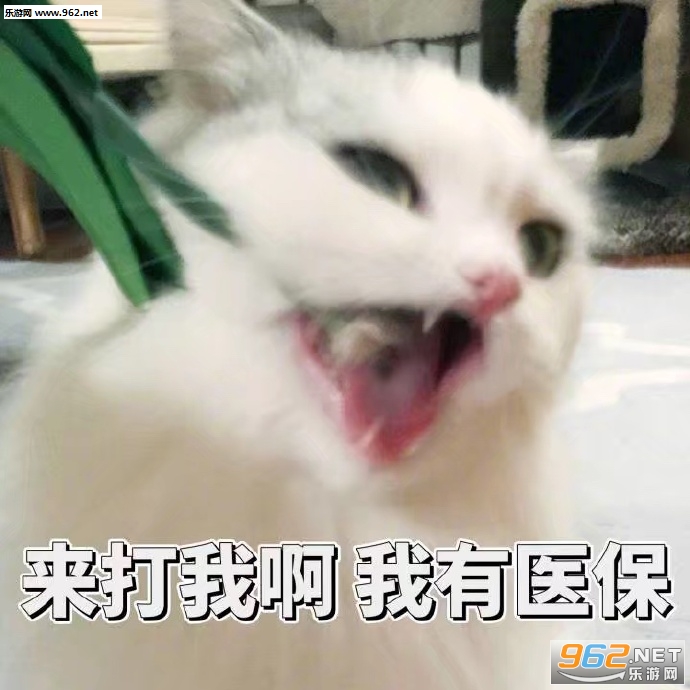 ȷ�Ϲ�����������ͼ0