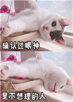 ȷ�Ϲ���������