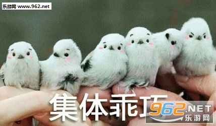 ���й��ɱ������ͼ0