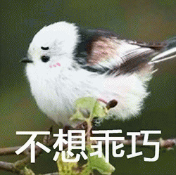 ���й��ɱ������ͼ2