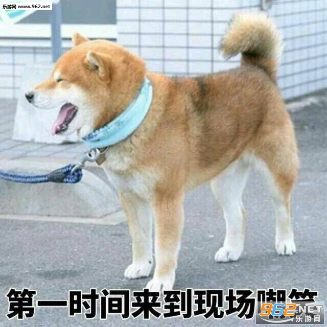 ��ȡ����������ţͼƬ��ͼ2