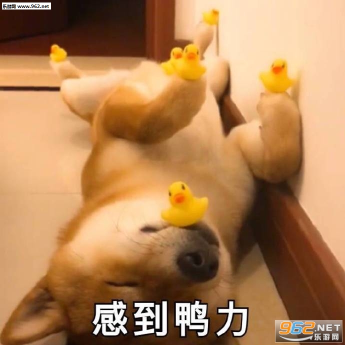 ˯��������Ҫ�������ͼͼƬ��ͼ6