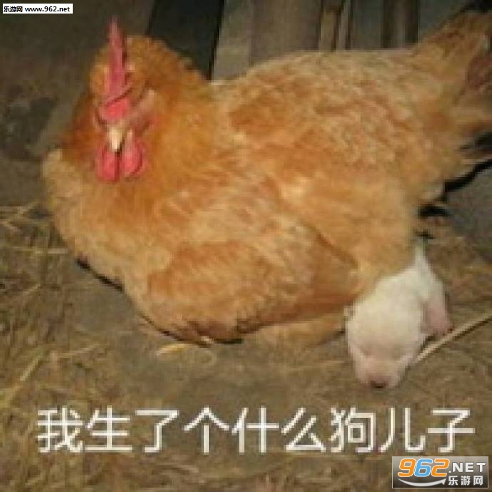 ˯��������Ҫ�������ͼͼƬ��ͼ7