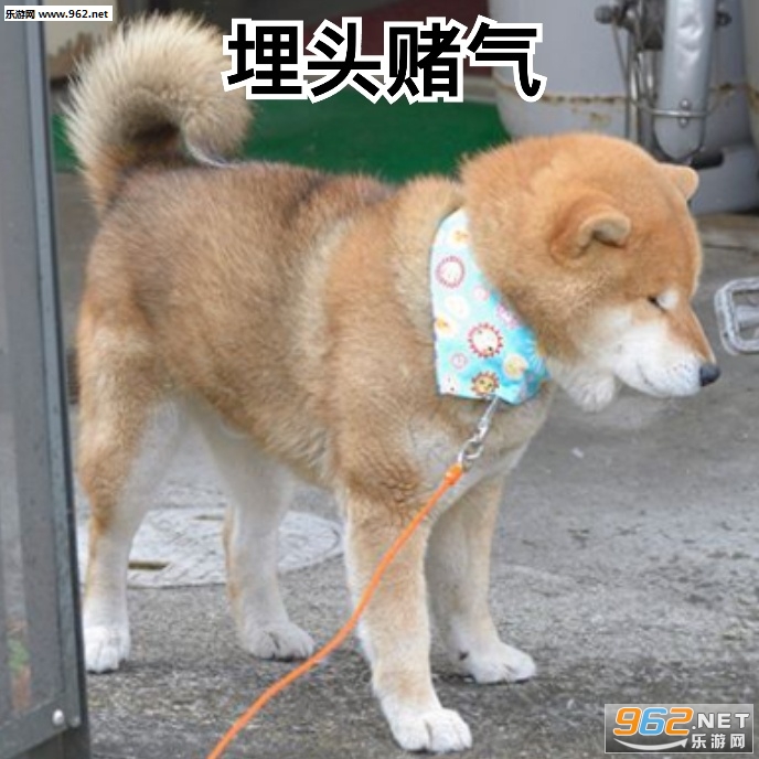 ʩ���������ʵ����û�հ���Ȯ�������ͼ1