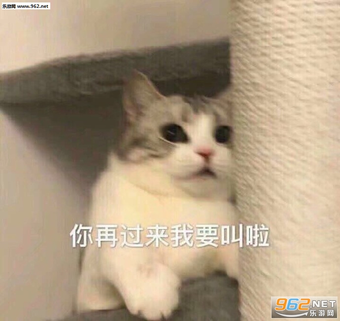 ������������Ʊ����ͼƬ��ͼ6