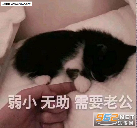 ̰��һЦ�����ͼƬ��ͼ8