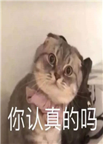 �������˱����ͼƬ