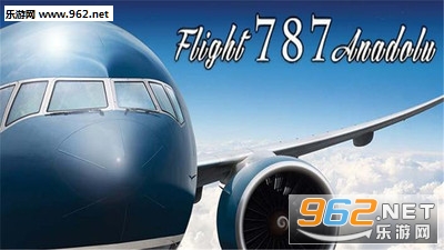 ģ�����787רҵ���ͼ4