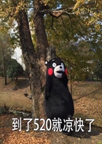 ������520�������˱����