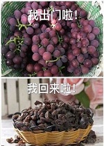 ����ǰ���ź�����
