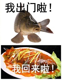 ����ǰ���ź�������ͼ1