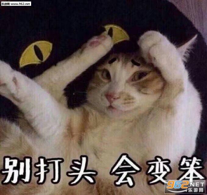 Ī��ε�����������˵���������ͼƬ��ͼ8
