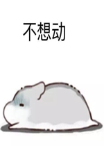 �����붯�����