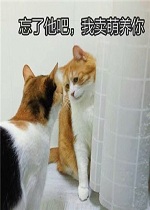 ΢��è�����ȱ����