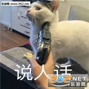 ΢��è�����ȱ������ͼ1