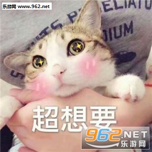 ΢��è�����ȱ������ͼ3