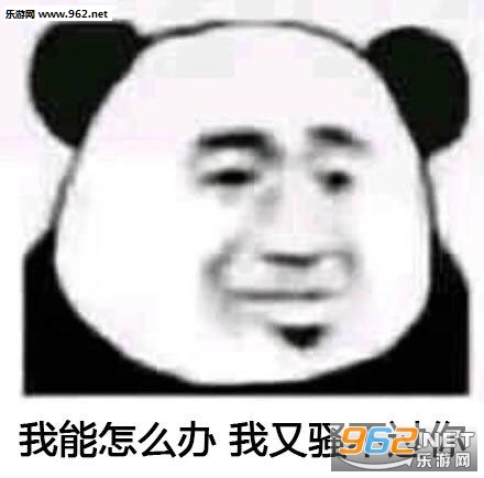�ܸ��ҽ��ܸ����������Ҳ���Ҫ�����˱����ͼƬ��ͼ6