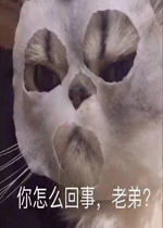 ſ�����Ͽ����ֱ����