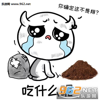 ������ÿ�춼����ʲô�������ͼ0