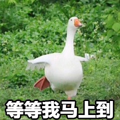 �ȵ������ϵ������ͼƬ��ͼ1