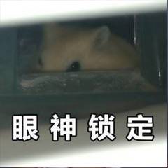 �ȵ������ϵ������ͼƬ��ͼ8