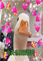 ������������̱����