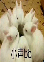 С���ֹ������ͼƬ