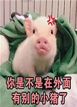 ���ǲ����������б�����˱����