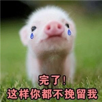 ���ǲ����������б�����˱������ͼ1