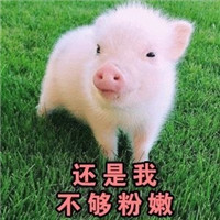 ���ǲ����������б�����˱������ͼ0