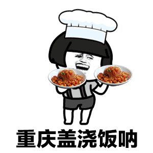 重庆盖浇饭表情包截图1