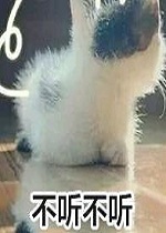 ��Ů�ı�������ۺϼ�