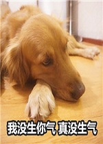 ��ë��û������û���������