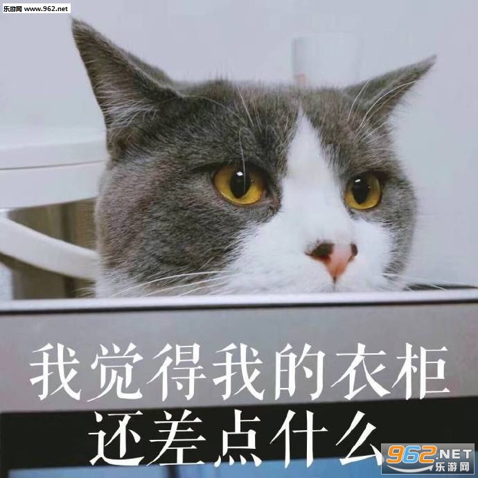 �����˱����ͼƬ��ͼ0